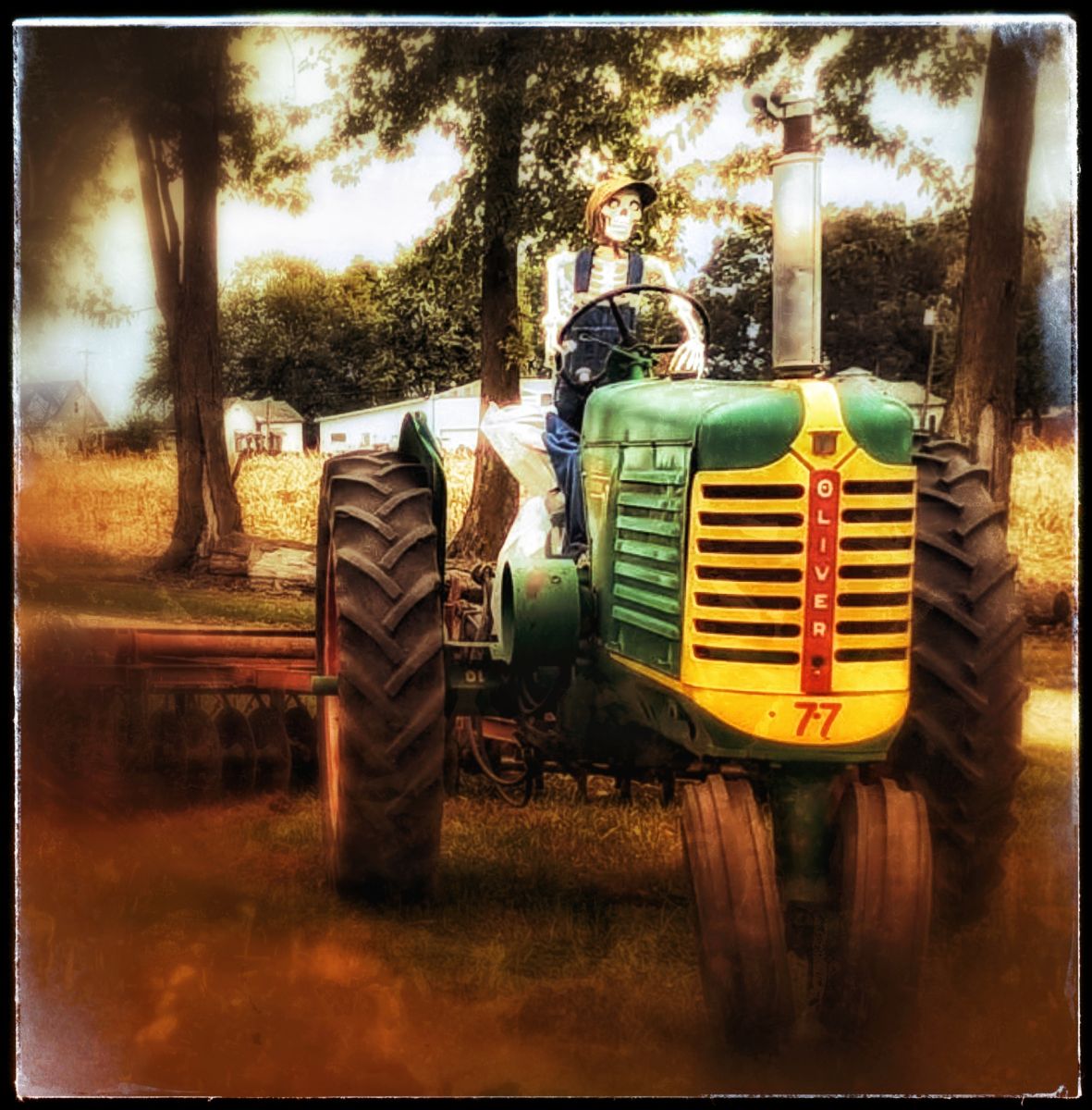 Halloween decorations