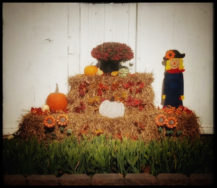 Halloween decorations