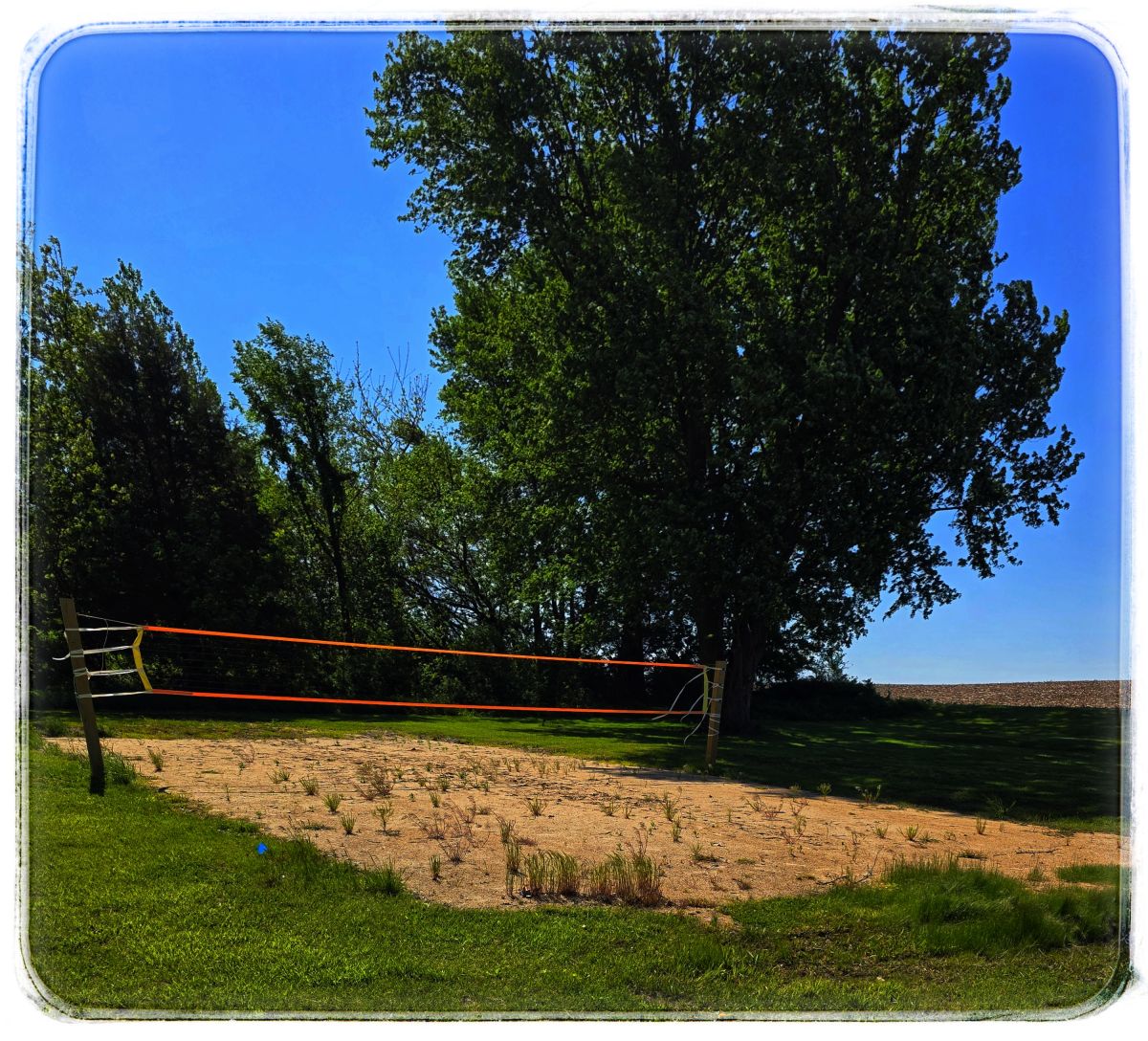 Volleyball Court